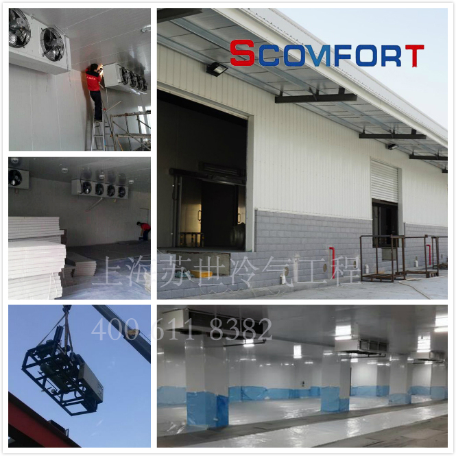 乳制品冷庫(kù)造價(jià) 上海蘇世021-66105069