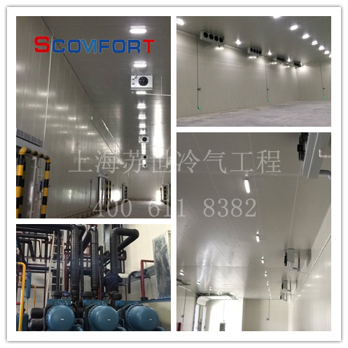 保鮮庫造價怎么算 021-66105068 上海蘇世冷氣工程 專業(yè)冷庫廠家 保鮮庫造價怎么算 021-66105068 上海蘇世冷氣工程 專業(yè)冷庫廠家